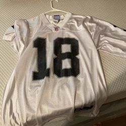 Randy Moss Raiders Jersey 