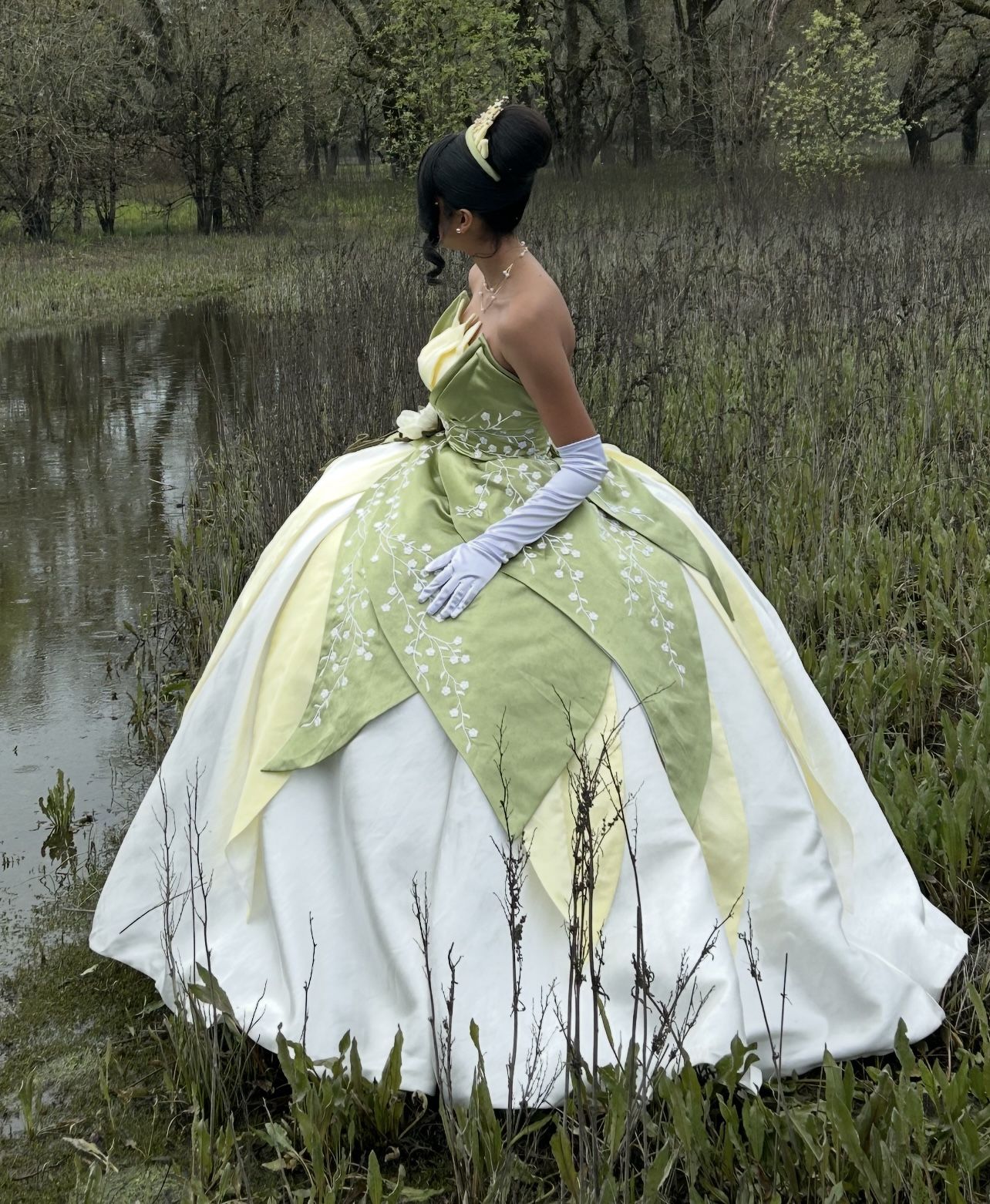 Princess Tiana Dress