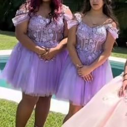 Lilac Dress ( Damas Dress from a Quince ) 