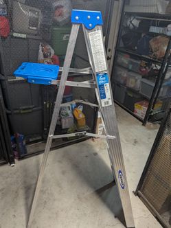 6 foot Step Ladder (10 ft. Reach Height) w/ 250 lb. Load Capacity - Werner Brand