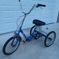 Adult Tricycle