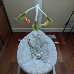 Fisher Price Baby Seing