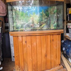 38-Gallon Bowfront Aquarium With Stand 