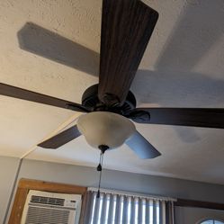 Ceiling Fan With Light 50 Inches New