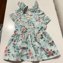 Size Small Blue Floral Dog Dress