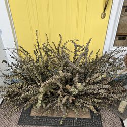 Large artificial plant, faux plant, about 4 feet by 2 Feet
