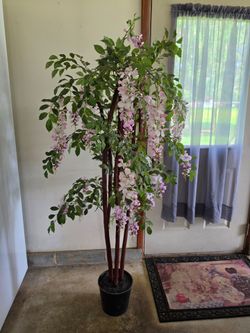 Indoor tree
