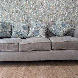 Gray Sofa Couch