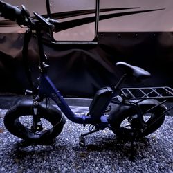 ESpin Electric Bicycle 