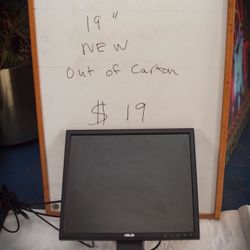 ASUS 19” Color Monitor