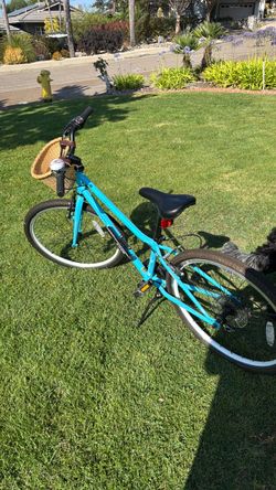 20” Guardian Girls Bike light blue