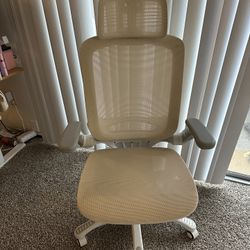 GABRYLLY Ergonomic Office Chair 