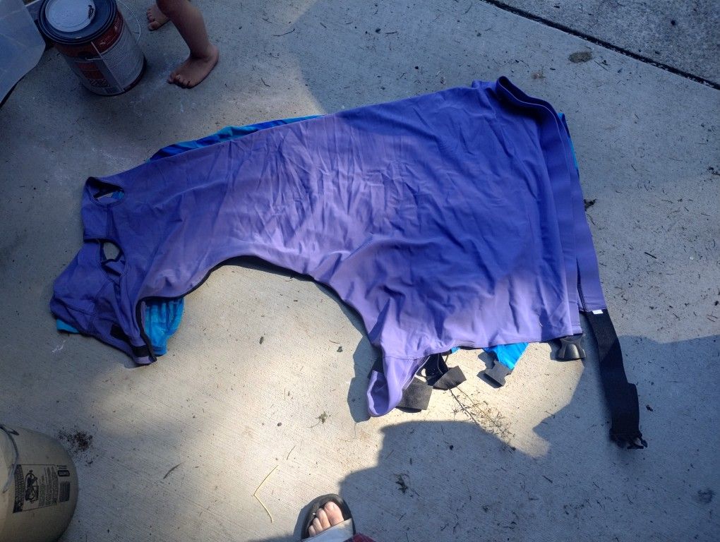 Horse Gear