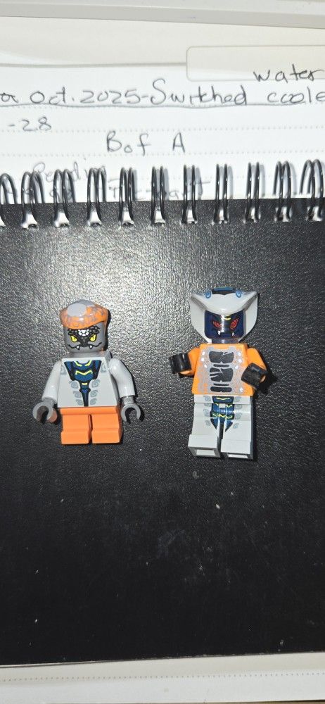 2 Ninjago Minifigures