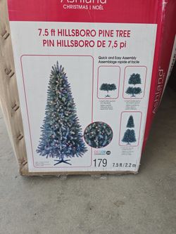 Christmas 🎄