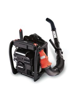 Echo gas Blower