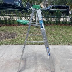 Werner 5ft Aluminum Ladder 🪜 