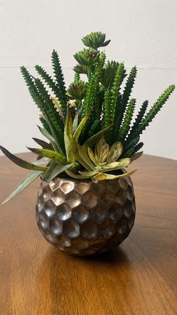 Fake Plants in a Round Ceramic Pot