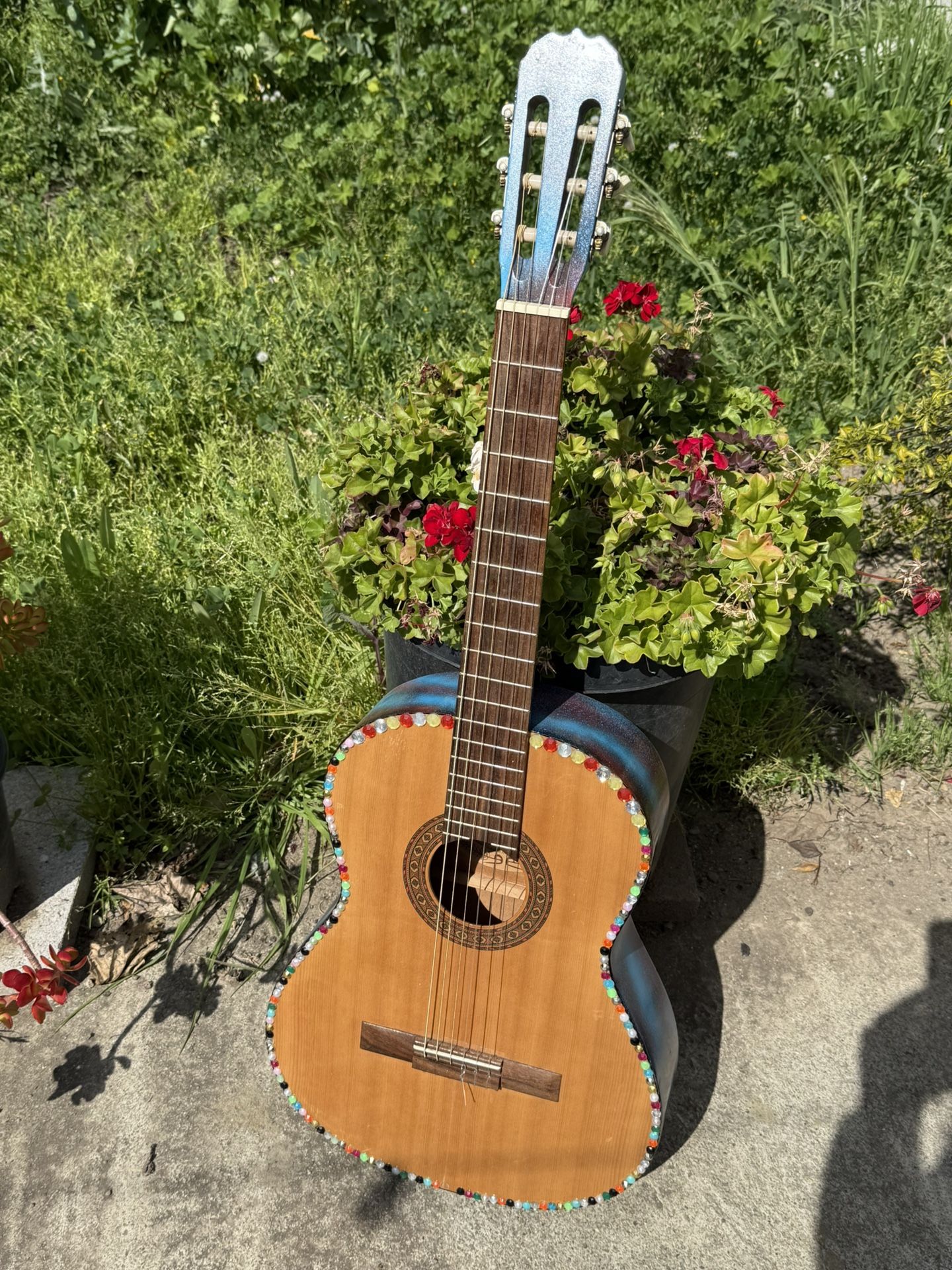 Acoustic Classic Guitar 🎸
