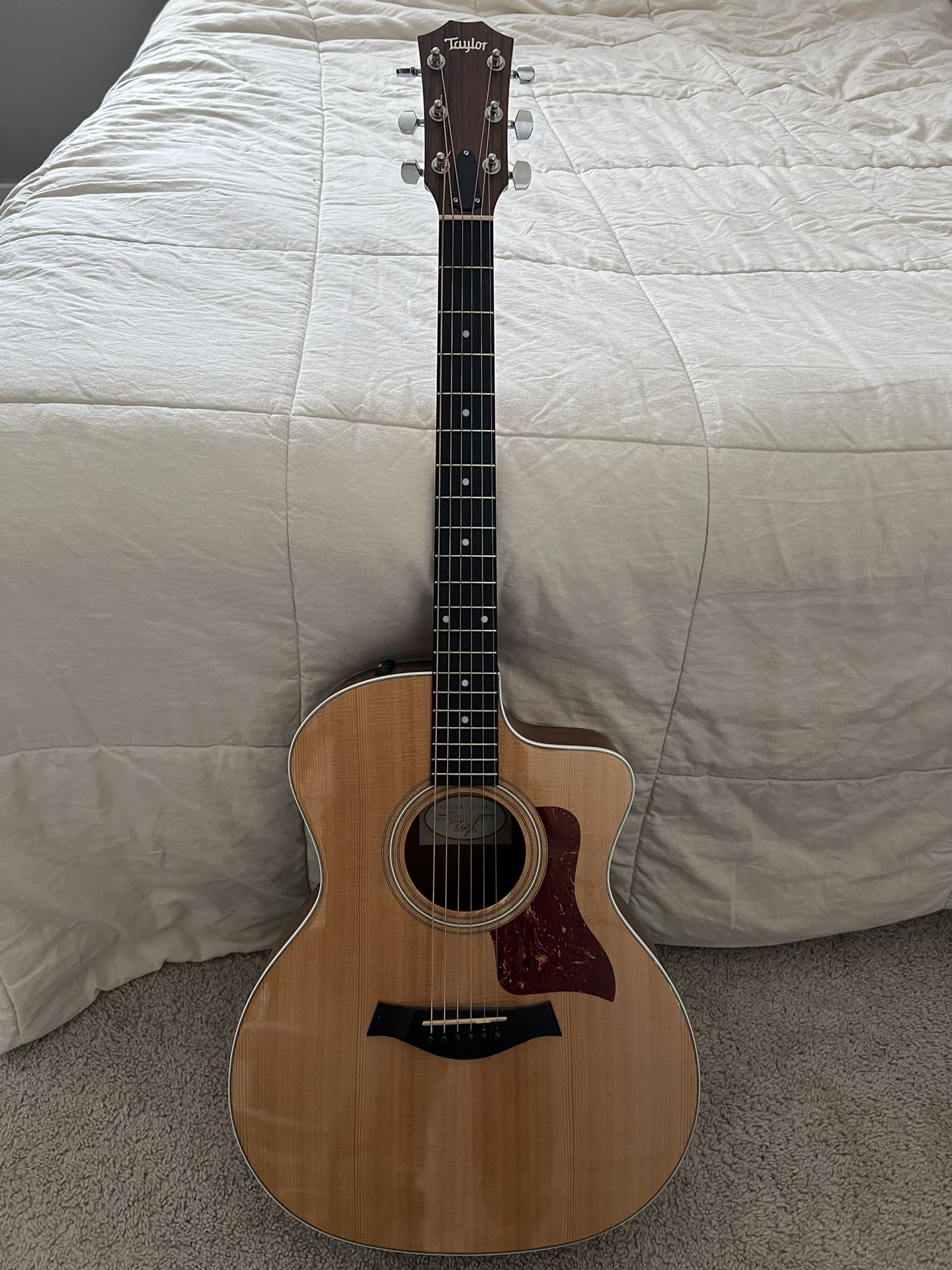Taylor 214ce (with soft case)