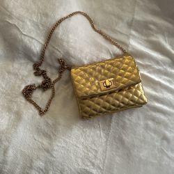 Gold Purse
