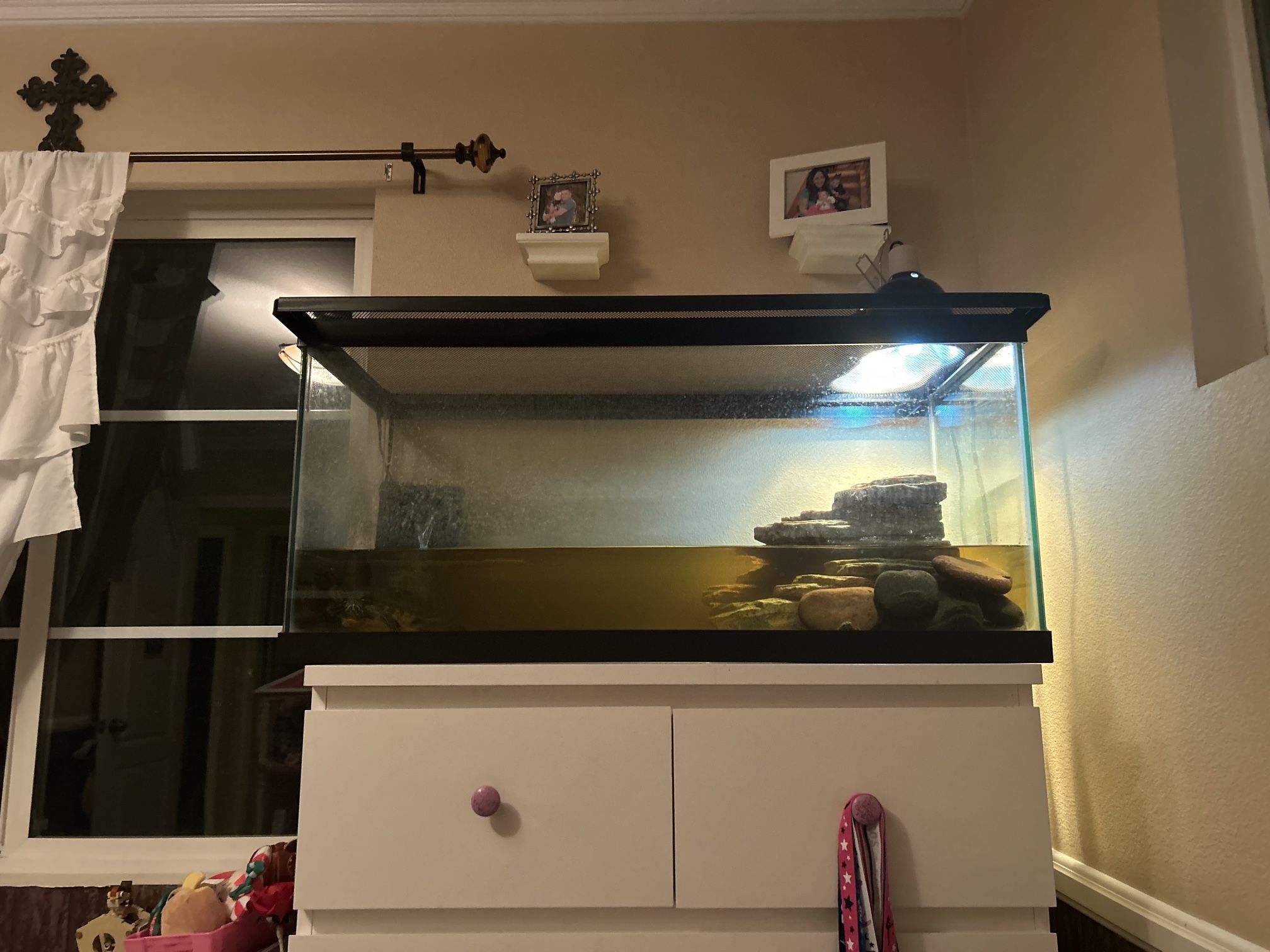 50 Gallon Turtle Tank
