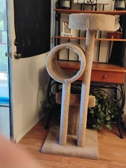 52" kitty tree