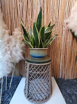 Vintage Rattan Drum Table