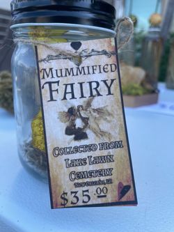 Mummified fairy