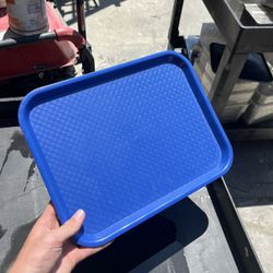 Blue Trays 