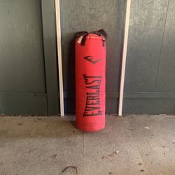Everlast Punching Bag 