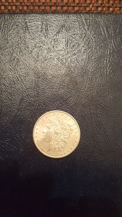 Morgan Silver Dollar Beautiful Coin