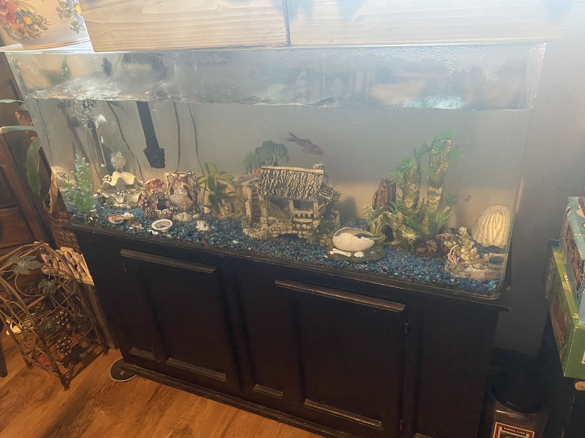 55 gallon fish tank (acrylic)