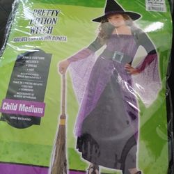 Pretty Potion Which Costume Size Medium Comes With Dress And Hat