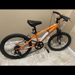 20” Mountain Bike