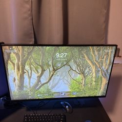Dell Gaming Monitor 