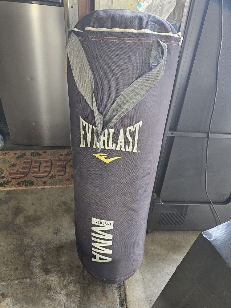 Everlast MMA punching bag