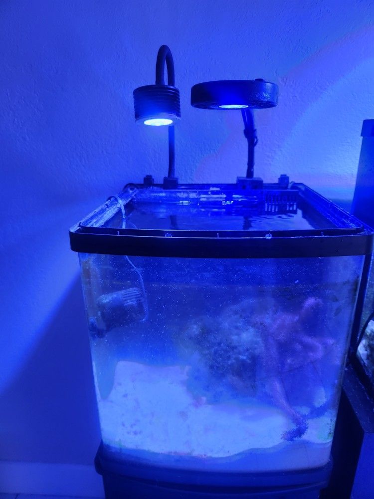 Aquarium