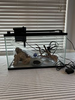 Full Fish Tank Setup With 10 Gallon Tank, Filter, Heater, Rock Formations, Driftwood, And Fluval Smart Light