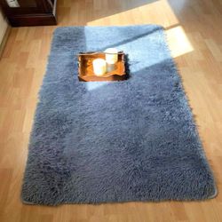 Silver Gray Area Rugs