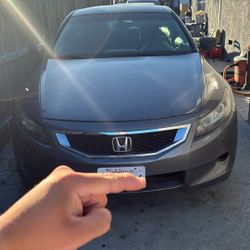 2010 Honda Accord