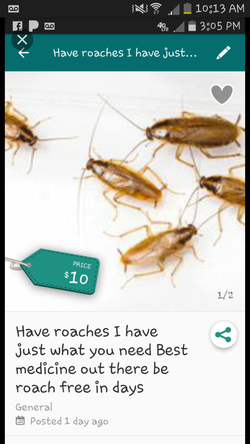 Infested with roaches 😯I can help you