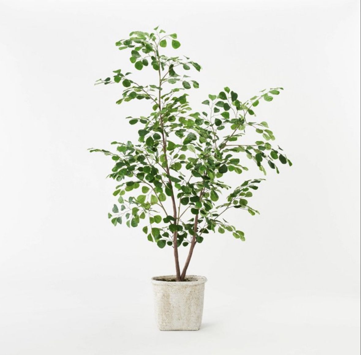 Moringa Artificial Tree Green - Threshold™ designed with Studio McGee