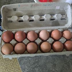 Fresh Brown Chicken Eggs 