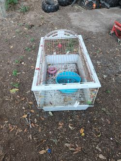 Rabbit Cage 