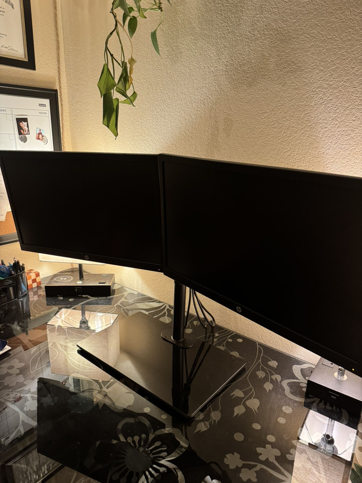 Dual HP Monitors With Stand