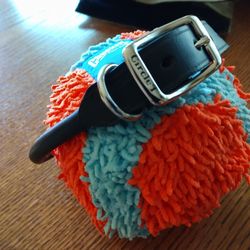 Leather Round Dog Collar 