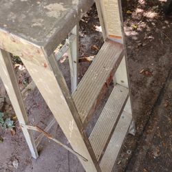 4ft Ladder 