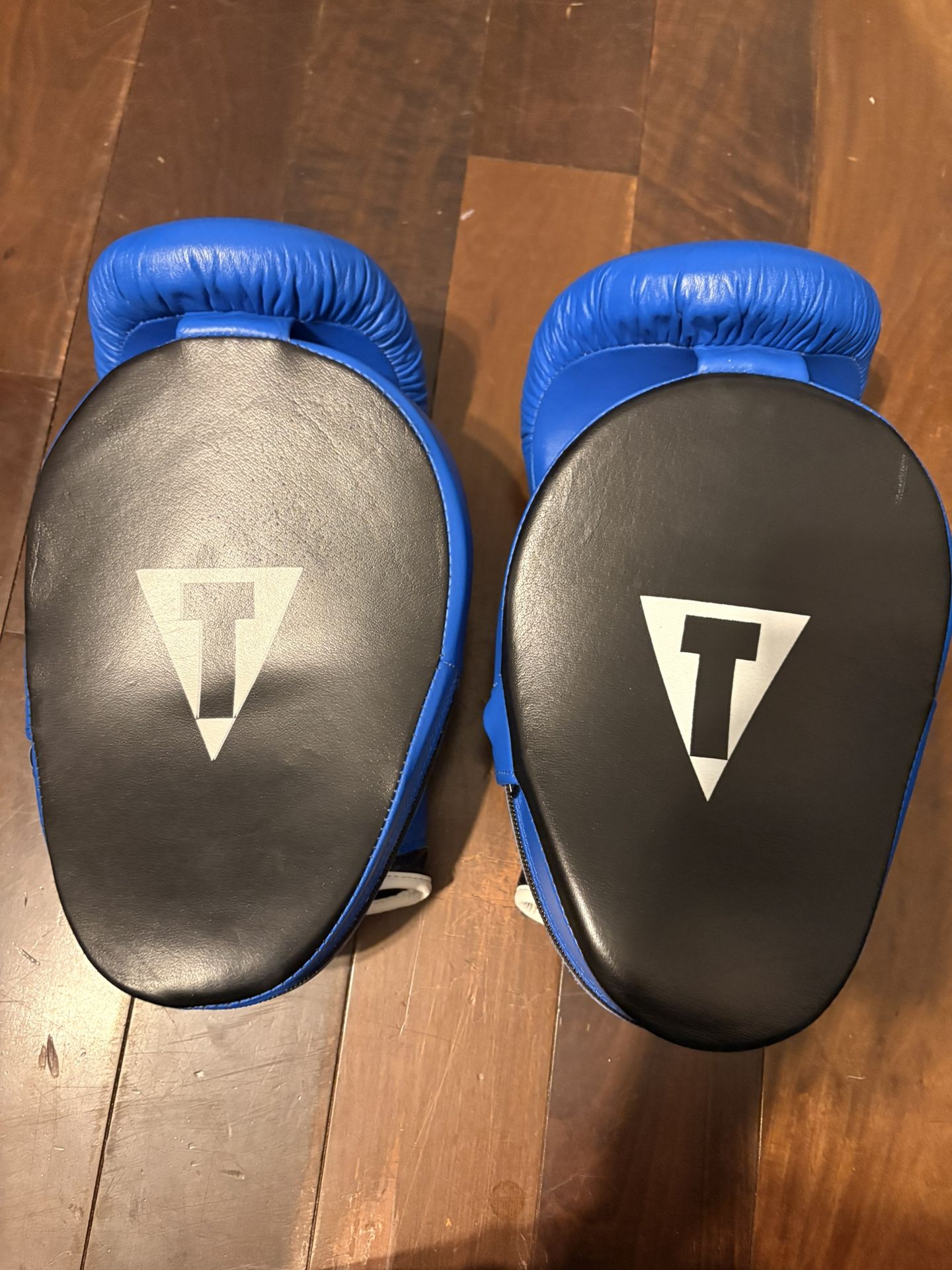 Title Boxing Mitts