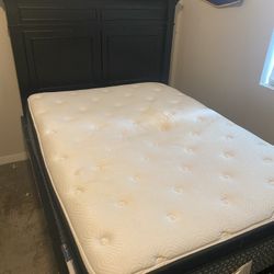 Free - Used Queen Bed With Mattress - Will Not Deliver 